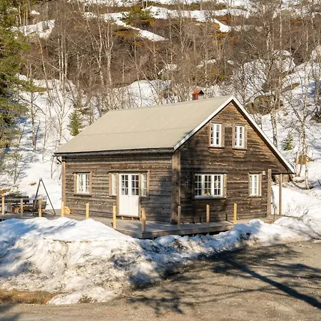 Norgesferie I Sirdal Villa Sinnes